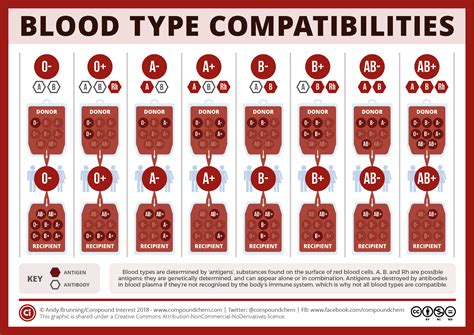 Learn which blood type puts you at higher or lower risk for early stroke